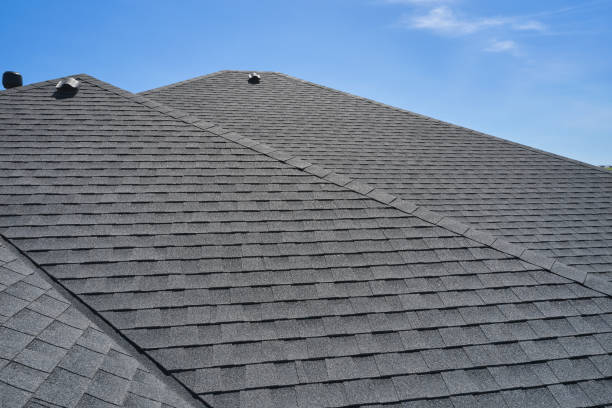 Best Roof Ventilation Installation  in Montezuma, GA